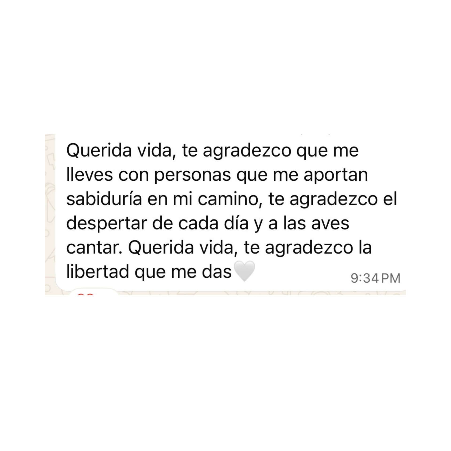 Testimonio 4